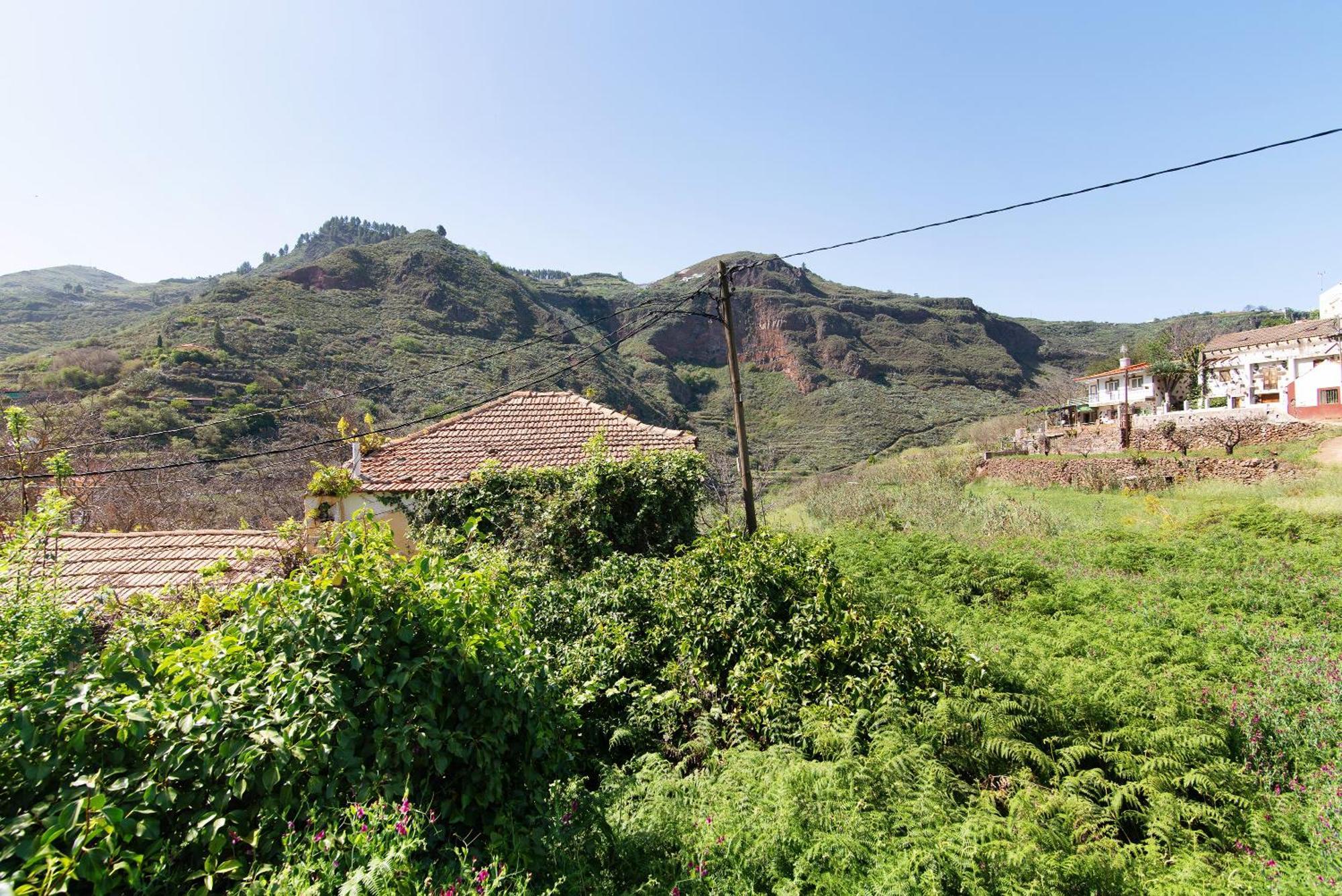 Villa Alma Vega de San Mateo Ngoại thất bức ảnh